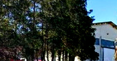 Galpão Industrial com 9.711m² em Rio Negrinho/SC