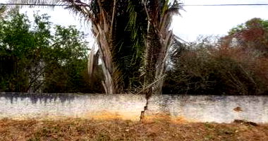 Terreno 360m² em Campina Grande