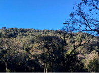 Sítio com 12,10 hectares em Nova Itaberaba