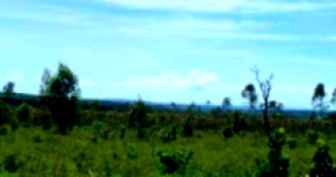 Imóvel Rural com 15,47 Hectares em Lagamar/MG