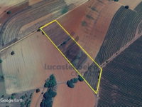 Fração ideal de 50% sobre 6.00 ha na Fazenda Boa Vista