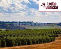 Fazenda Antonieta - 94 hectares em zona rural