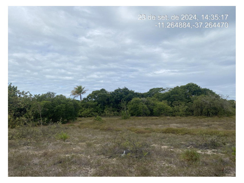 Terreno de 300m² em Loteamento à Venda em Leilão