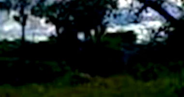 Lote em Dom Zacarias R. De Moura - Cajazeiras/PB