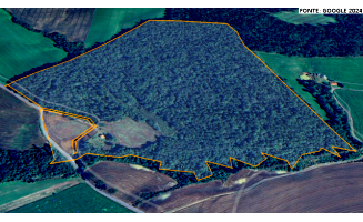 Sítio Rural com 31,36 hectares em Fernandes Pinheiro/PR