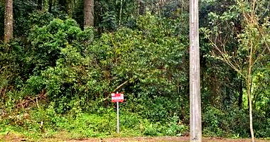 Terreno Urbano em Nova Petrópolis/RS com 775,24m²