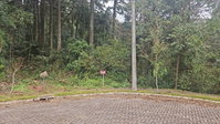 Terreno Urbano em Nova Petrópolis/RS com 775,24m²