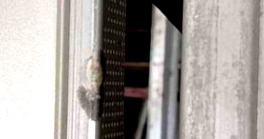 600 Montantes de Aço Galvanizado - Leilão Online