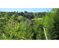 Fração Ideal de Terreno em Itaquaquecetuba - SP