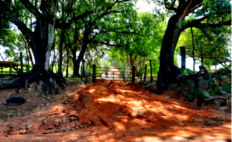 Chácara rural com 4,23 hectares e benfeitorias, casa 60m²