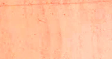 Casa com 219m² de terreno e 26m² construídos