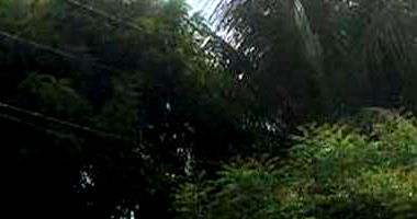 Casa padrão com 1 quarto, 1 sala, 0 vagas, área construída 180m², ocupada