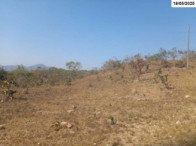 Fazenda com 1.452 hectares em Niquelândia/GO