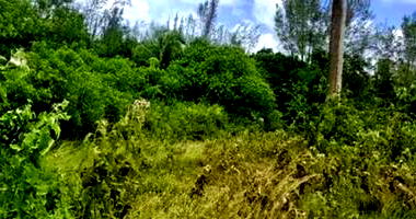 Terreno Industrial com 10.000m² em Camaçari/BA