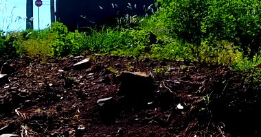 Terreno Urbano com 313m² Desocupado