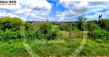 Gleba de terras com 5 hectares em zona rural, área total 50.000m²