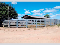 Sítio Rural de 96,80ha - em Leilão
