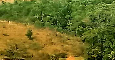 Propriedade Rural com Lazer e Hospedagem em Ibirama