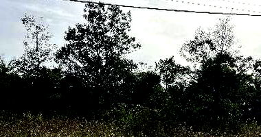 Terreno em Três Coroas/RS com 360m²