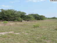 Fazenda com 108,53 hectares, topografia plana e vegetação nativa