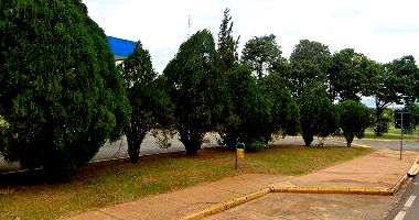Fazenda Bela Vista do Salto - 141,83ha com Benfeitorias