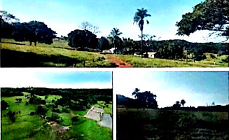 Fazenda com 181,40 hectares, área agrícola em expansão, desocupada