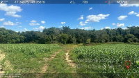 Fazenda Santa Rosa com 71,45 Ha em Ipameri/GO