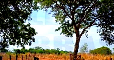 Fazenda com 771,6945 ha em Mutunópolis/GO