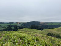 Terreno rural 84.400 m² em Nova Alvorada/RS
