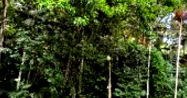 Terreno Amplo em Blumenau/SC com 40.750m²