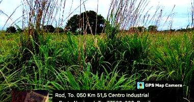 Lote desocupado com 3040 m² em área empresarial