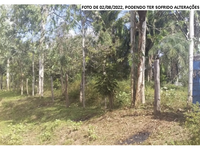 Sítio rural com 63,29ha, área de pasto para 80 cabeças de gado