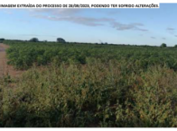 Fazenda com 240 hectares em Araripina/PE - Serra Araripe