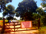 Sítio rural com 20 hectares, ideal para agricultura e pecuária