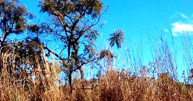 Terreno com Direitos Possessórios em Brasília