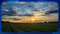 Fazenda Boa Esperança com Plantação de Cana