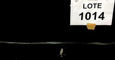 Sucata de Equipamentos Eletrônicos - Lote 1014