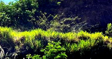 Terreno Urbano com 210m² em Tomazina - PR