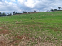Terreno Rural com 24.932,5m² em Erechim/RS, sem benfeitorias