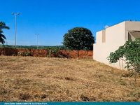 Terreno de 258 m² em Cosmorama, ideal para investimento