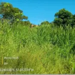 Imóvel 660m² no bairro São Braz, União da Vitória/PR