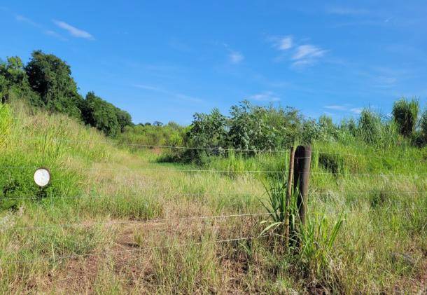 Lote Ocupado em Graciosa com 201708 m²
