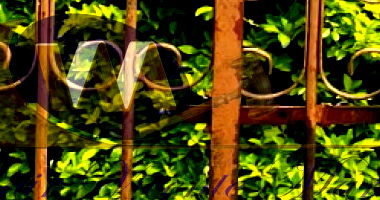 Lote de Terreno Urbano com 462m²