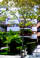 Cobertura Duplex com 2 Vagas na Barra da Tijuca - Rio de Janeiro