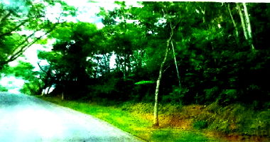 Terreno em Condomínio Fechado Capital Ville I