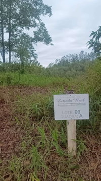 Lote no Condomínio Estrada Real com 840,52m² em Matias Barbosa/MG