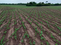 Fazenda Rural com 1.488 ha, ideal para agricultura e pecuária