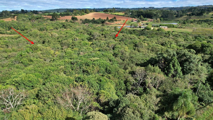 Terreno rural amplo de 9.075m², sem benfeitorias, desocupado