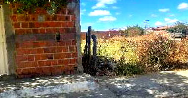 Casa com 3 Quartos e Varanda em Bom Jesus da Lapa