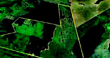 Imóvel rural com 181,40 hectares, área ampla para cultivo